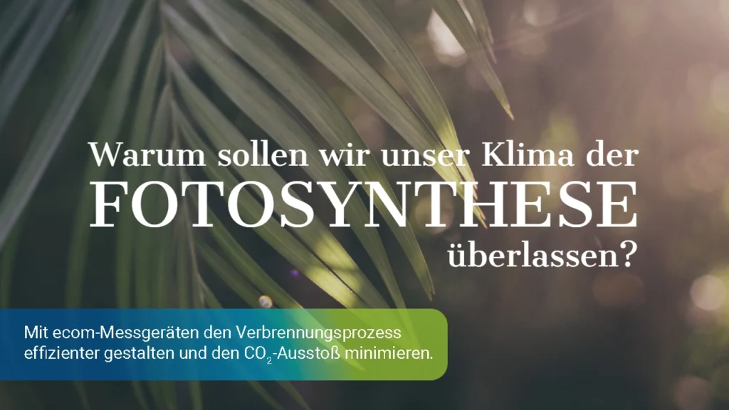 Warum sollen wir unser Klima der Photosynthese überlassen, Blätter im Hintergrund